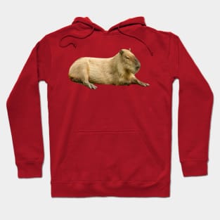 Lazy Sunday afternoon Capybara Hoodie